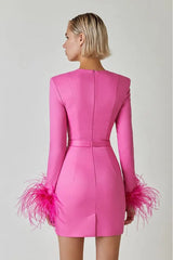 Aerika Feather Bodycon Mini Dress