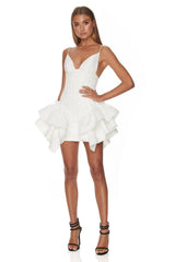 Alyesha Elegant Mini Dress