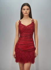 Red Sequin Feather Mini Dress â€?Luxury Party Style